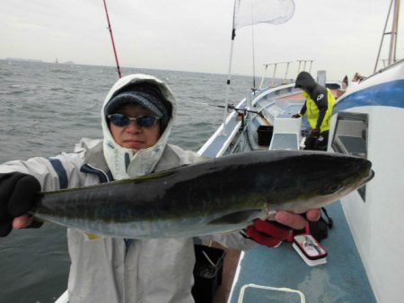 大進丸（愛知） 釣果