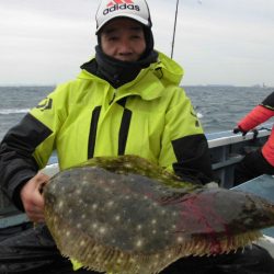 大進丸（愛知） 釣果