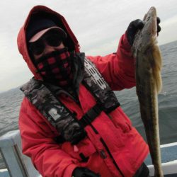 大進丸（愛知） 釣果