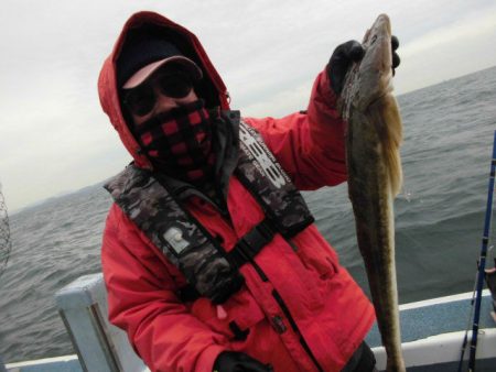 大進丸（愛知） 釣果