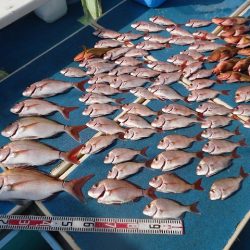 十八宝洋丸 釣果