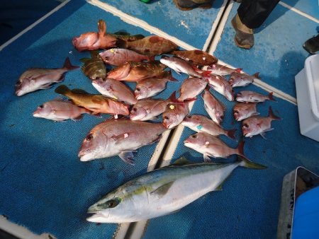 十八宝洋丸 釣果