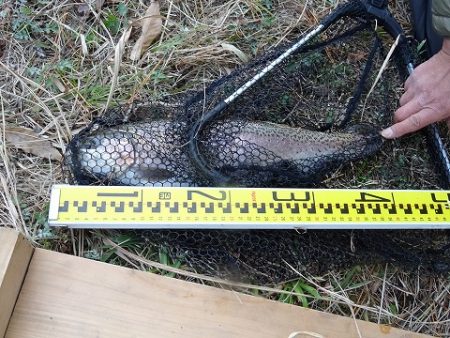 志高湖フィッシング 釣果