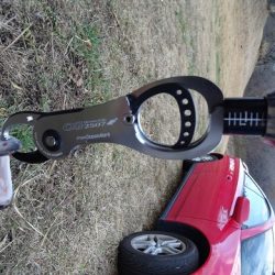 志高湖フィッシング 釣果