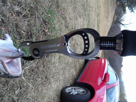 志高湖フィッシング 釣果