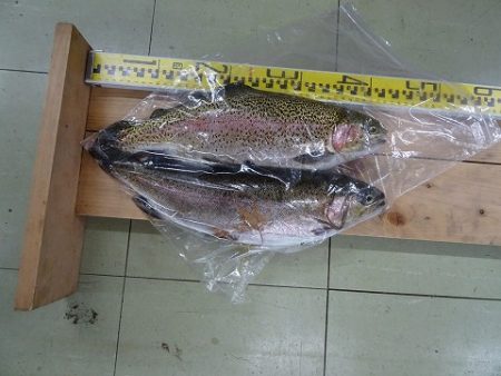 志高湖フィッシング 釣果