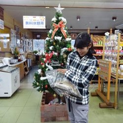 志高湖フィッシング 釣果