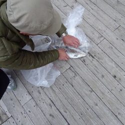 志高湖フィッシング 釣果