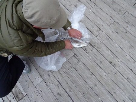 志高湖フィッシング 釣果