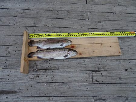 志高湖フィッシング 釣果