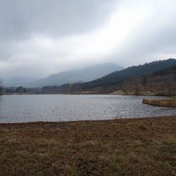 志高湖フィッシング 釣果