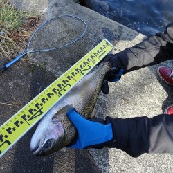 志高湖フィッシング 釣果