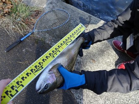 志高湖フィッシング 釣果