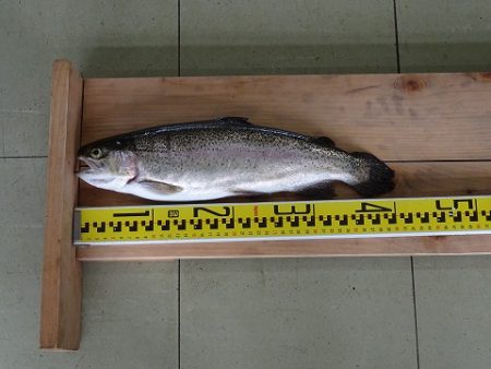 志高湖フィッシング 釣果