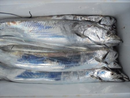 ＨＡＲＵＫＡ丸　はるかまる 釣果