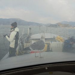 ＨＡＲＵＫＡ丸　はるかまる 釣果