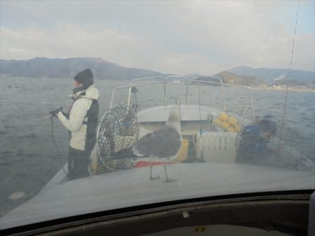 ＨＡＲＵＫＡ丸　はるかまる 釣果