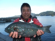 春日丸 釣果