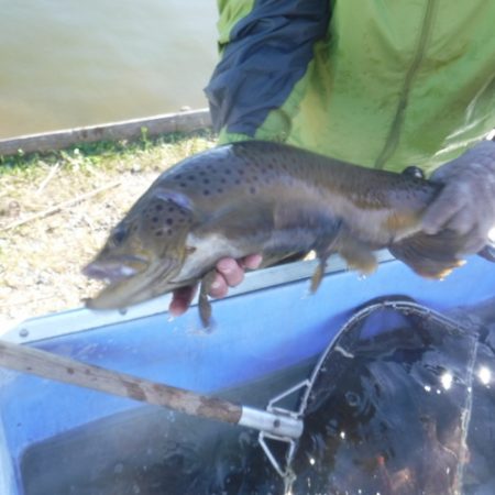 浜名湖フィッシングリゾート 釣果