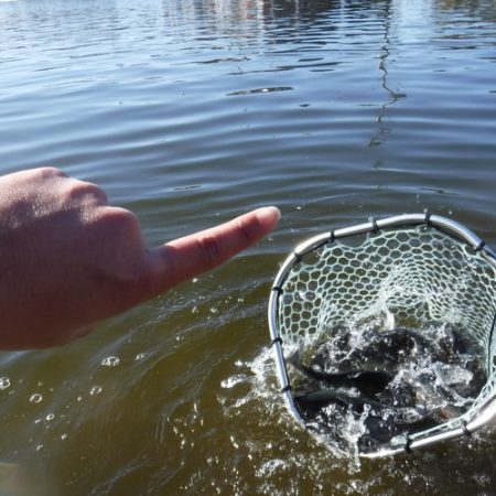 浜名湖フィッシングリゾート 釣果