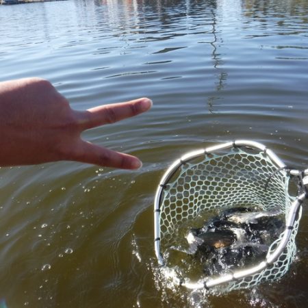 浜名湖フィッシングリゾート 釣果