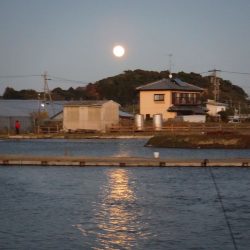 浜名湖フィッシングリゾート 釣果