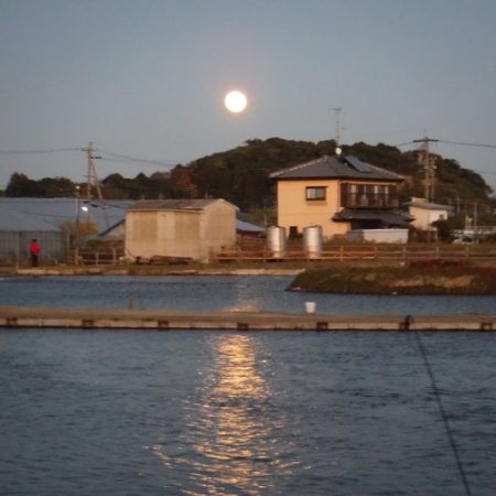 浜名湖フィッシングリゾート 釣果