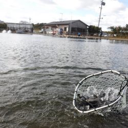 浜名湖フィッシングリゾート 釣果