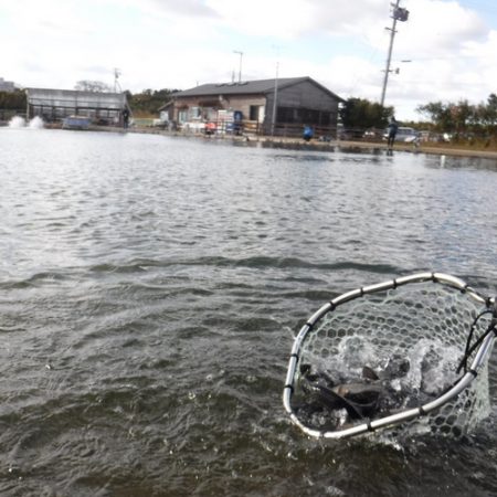浜名湖フィッシングリゾート 釣果