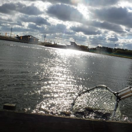 浜名湖フィッシングリゾート 釣果