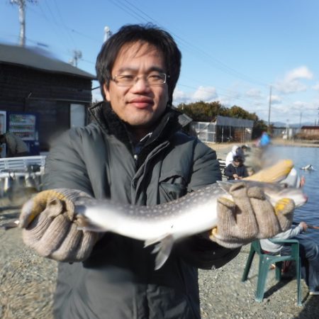 浜名湖フィッシングリゾート 釣果