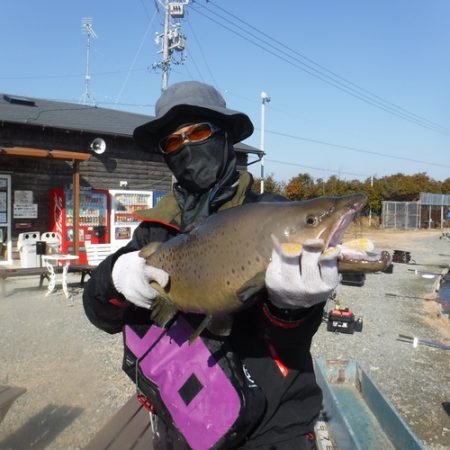 浜名湖フィッシングリゾート 釣果