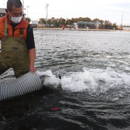 浜名湖フィッシングリゾート 釣果