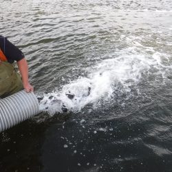 浜名湖フィッシングリゾート 釣果