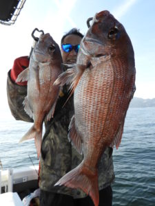 Fisherman Dreams DI 釣…