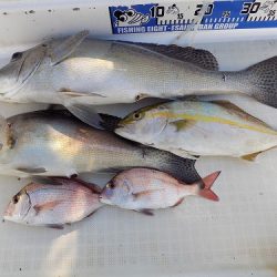 フィッシングボート空風（そらかぜ） 釣果