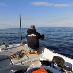 フィッシングボート空風(そらかぜ) 釣果