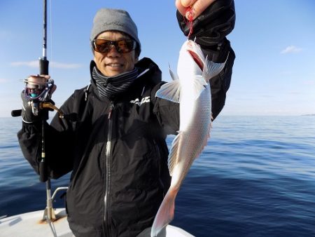 フィッシングボート空風(そらかぜ) 釣果