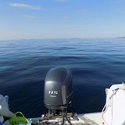 フィッシングボート空風(そらかぜ) 釣果