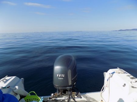 フィッシングボート空風(そらかぜ) 釣果