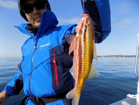 フィッシングボート空風(そらかぜ) 釣果