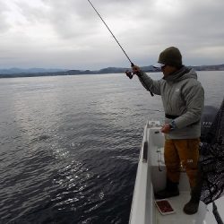 フィッシングボート空風(そらかぜ) 釣果