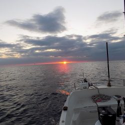 フィッシングボート空風(そらかぜ) 釣果