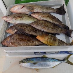 フィッシングボート空風(そらかぜ) 釣果