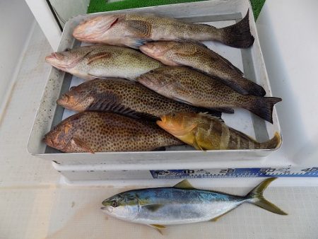 フィッシングボート空風(そらかぜ) 釣果