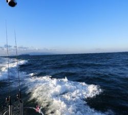 Fisherman Dreams DI 釣果