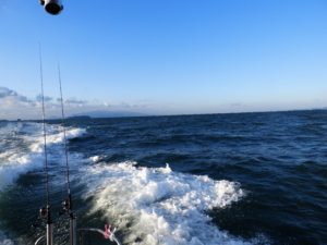 Fisherman Dreams DI 釣果