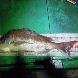 海宝丸　島根 釣果