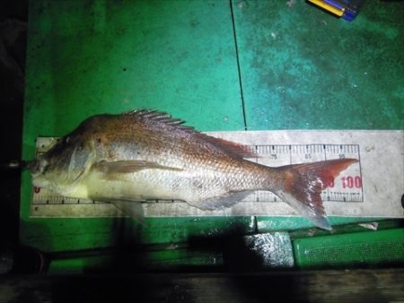 海宝丸　島根 釣果