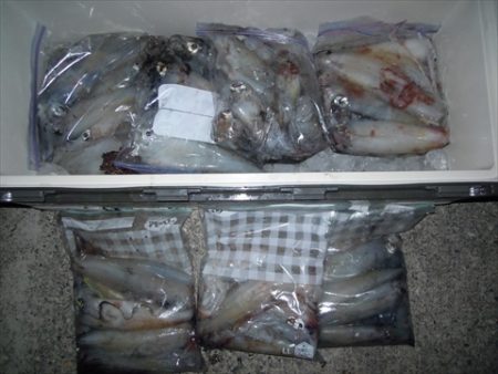 海宝丸　島根 釣果